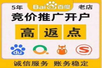 百度搜索广告运营推广：某行业领先企业的秘密武器